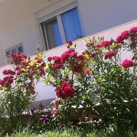 Villa Markic Drvenik  Dış mekan fotoğraf