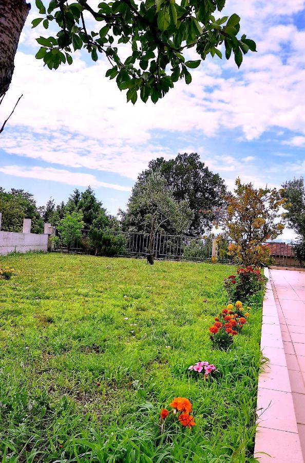 Villa Markic Drvenik  Dış mekan fotoğraf