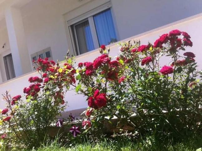 Villa Markic Drvenik  Dış mekan fotoğraf